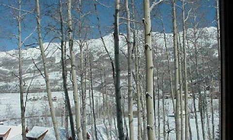 4 bed 5 bath Condo $1,500,000