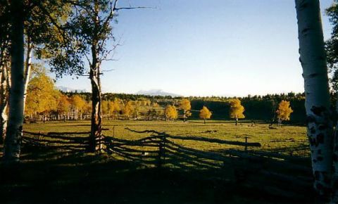 Ranch / Farm $3,500,000