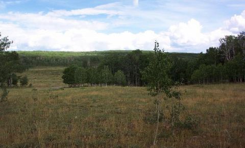 Ranch / Farm $69,500