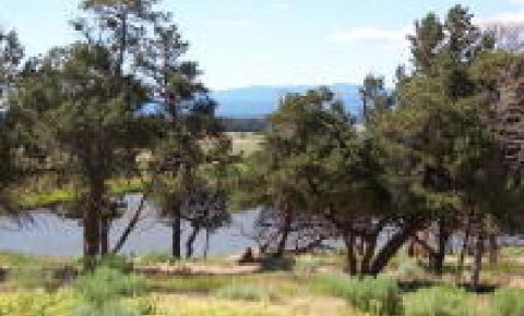 Ranch / Farm $740,000