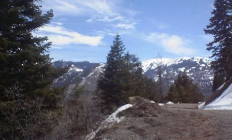 Ranch / Farm $99,000