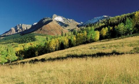 Ranch / Farm $1,950,000