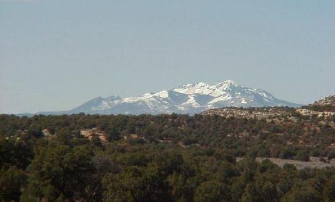 1 bed 1 bath Home $80,000