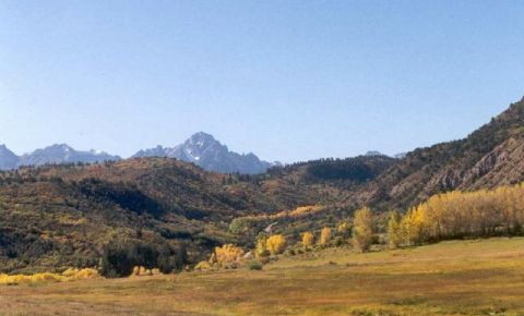 Ranch / Farm $705,000