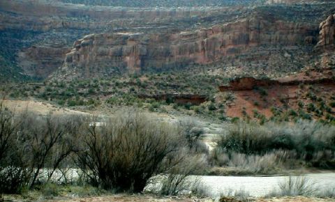 Ranch / Farm $99,000