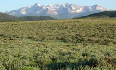 Ranch / Farm $220,000