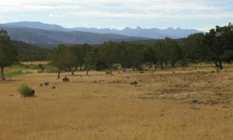 Ranch / Farm $269,000