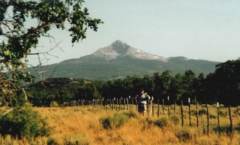 Ranch / Farm $139,000