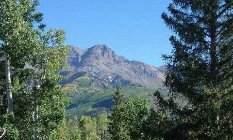 2 bed 3 bath Condo $699,000