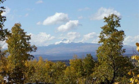 Ranch / Farm $640,000