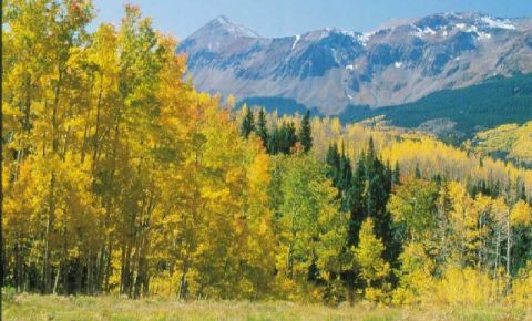 Ranch / Farm $2,975,000