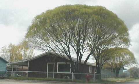 3 bed 1 bath Home $50,000