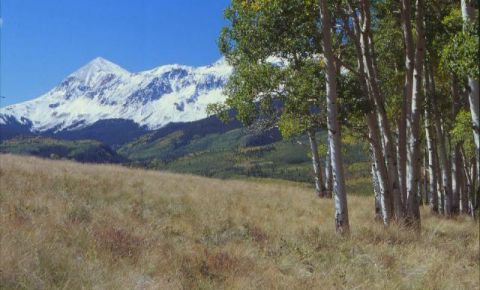 Ranch / Farm $1,700,000