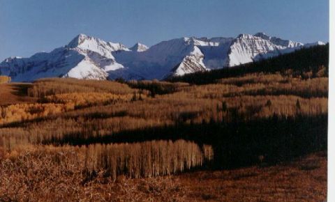 Ranch / Farm $2,231,250