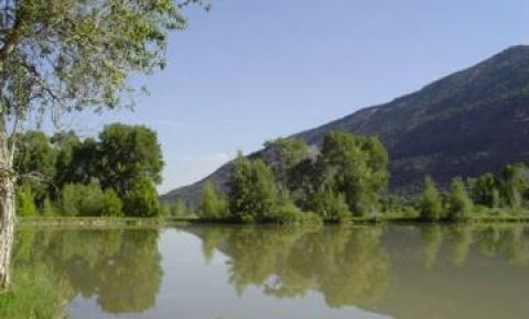 Ranch / Farm $335,000