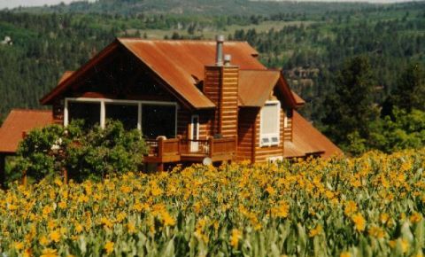 4 bed 4 bath Home $1,295,000