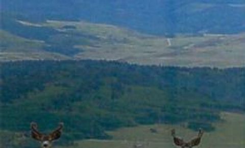 Ranch / Farm $2,850,000