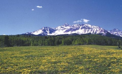 Ranch / Farm $1,975,000