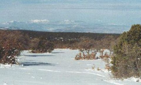 Ranch / Farm $99,900