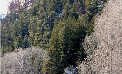 2 bed 2 bath Home $185,000