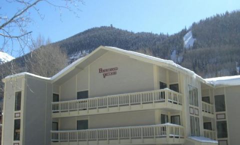 1 bed 1 bath Condo $365,000