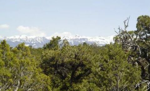 Ranch / Farm $70,000