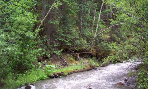 Ranch / Farm $449,000