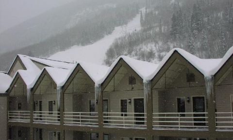 1 bed 1 bath Condo $344,900