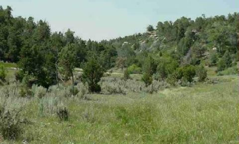 Ranch / Farm $229,900