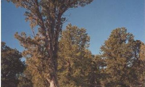 Ranch / Farm $84,500