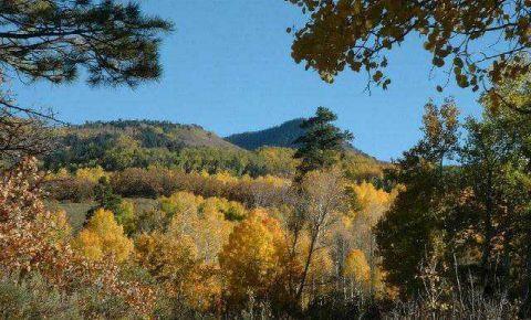 Ranch / Farm $250,000