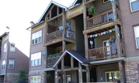 1 bed 1 bath Condo $287,000