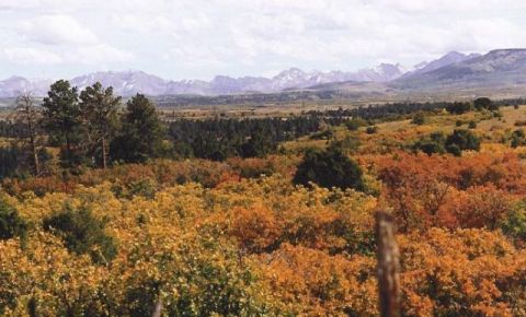 Ranch / Farm $119,000