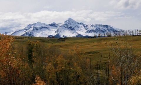 4 bed 3 bath Home $1,395,000