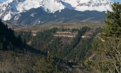 3 bed 4 bath Home $1,395,000