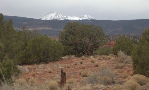 Ranch / Farm $150,000