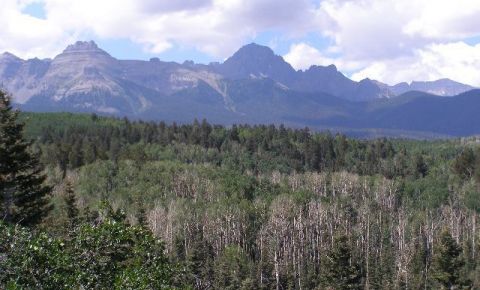 Ranch / Farm $425,000