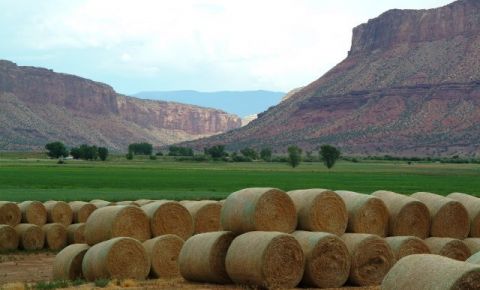 Ranch / Farm $2,800,000