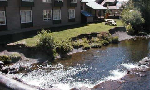 1 bed 1 bath Condo $369,000