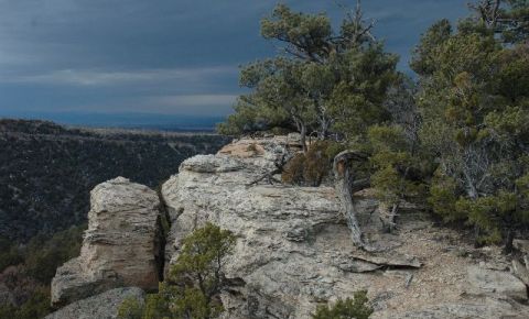 1 bed 1 bath Home $165,000