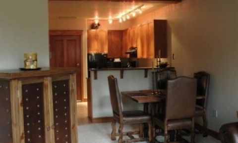 1 bed 1 bath Condo $499,500