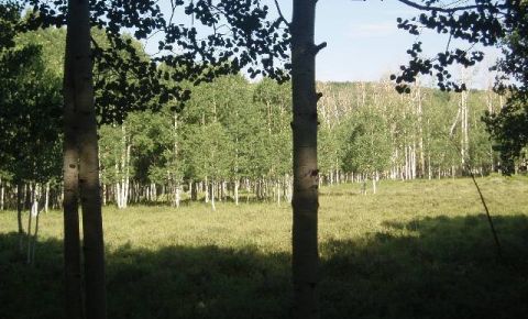 Ranch / Farm $179,000