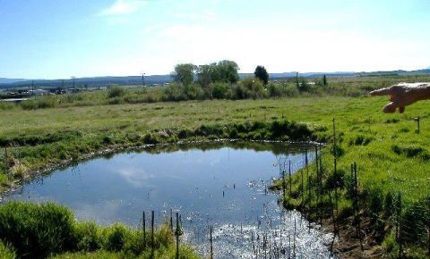 Ranch / Farm $135,000