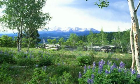 Ranch / Farm $2,600,000