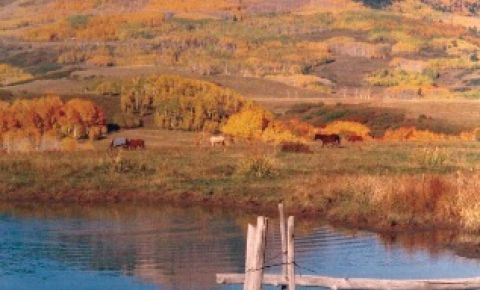 4 bed 2 bath Home $595,000