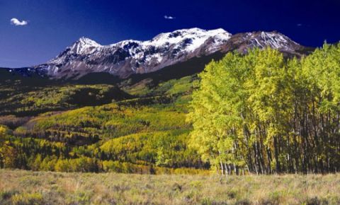 Ranch / Farm $1,995,000