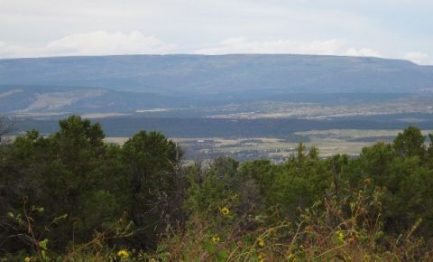 3 bed 2 bath Home $169,000