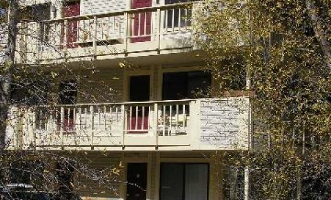 1 bed 1 bath Condo $345,000