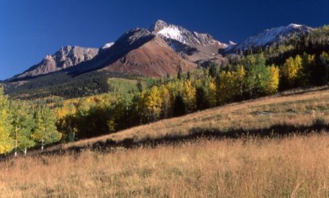 Ranch / Farm $1,875,000