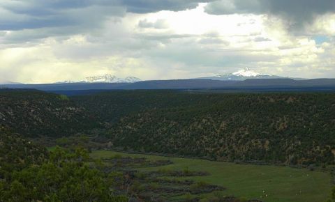 Ranch / Farm $50,000